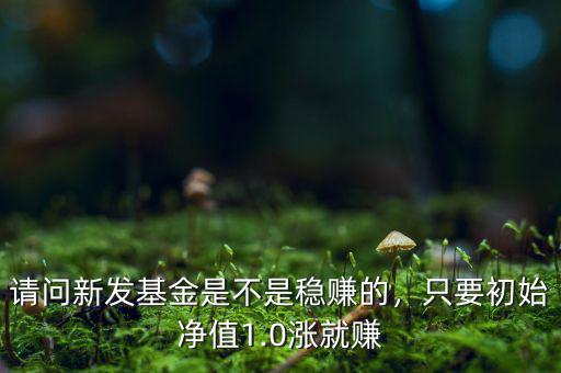 請問新發(fā)基金是不是穩(wěn)賺的，只要初始凈值1.0漲就賺