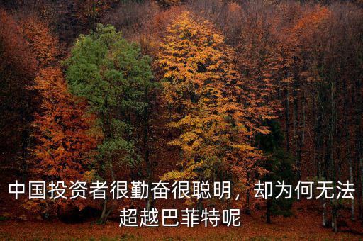 中國投資者很勤奮很聰明，卻為何無法超越巴菲特呢