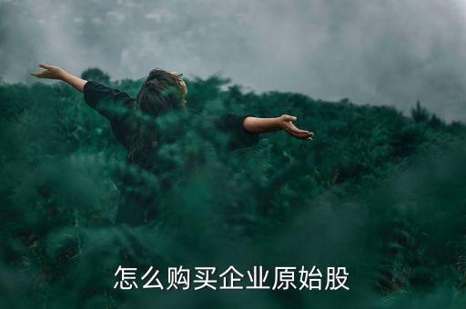 怎么購(gòu)買(mǎi)企業(yè)原始股