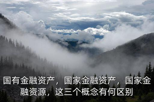 國(guó)有金融資產(chǎn)，國(guó)家金融資產(chǎn)，國(guó)家金融資源，這三個(gè)概念有何區(qū)別