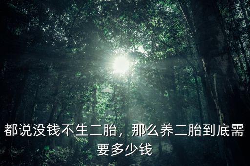 都說沒錢不生二胎，那么養(yǎng)二胎到底需要多少錢