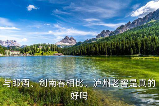 與郎酒、劍南春相比，瀘州老窖是真的好嗎
