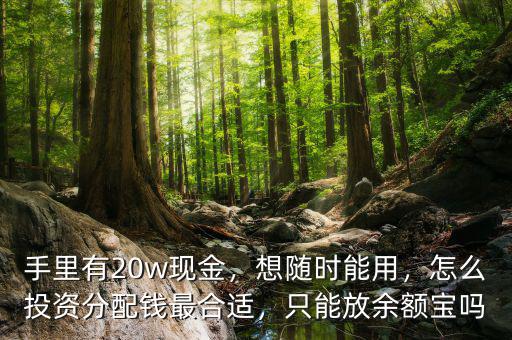 手里有20w現(xiàn)金，想隨時(shí)能用，怎么投資分配錢最合適，只能放余額寶嗎