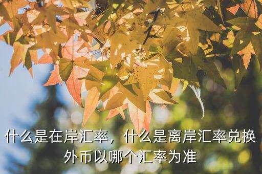 什么是在岸匯率，什么是離岸匯率兌換外幣以哪個匯率為準