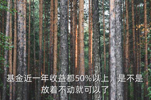 基金近一年收益都50%以上，是不是放著不動就可以了