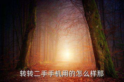 轉轉二手手機用的怎么樣那