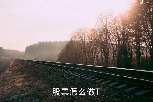 散戶(hù)怎么做t,怎么做T 0