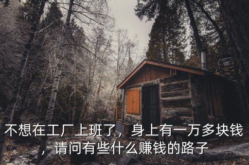 有什么賺錢的貨幣,請(qǐng)問(wèn)有些什么賺錢的路子