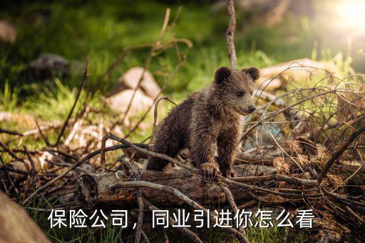怎么挖保險同業(yè)人員,同業(yè)引進(jìn)你怎么看