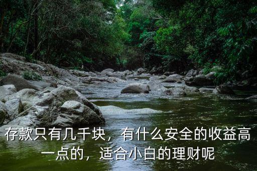 存款只有幾千塊，有什么安全的收益高一點(diǎn)的，適合小白的理財(cái)呢