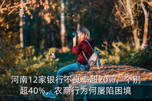河南12家銀行不良率超20%，個(gè)別超40%，農(nóng)商行為何屢陷困境