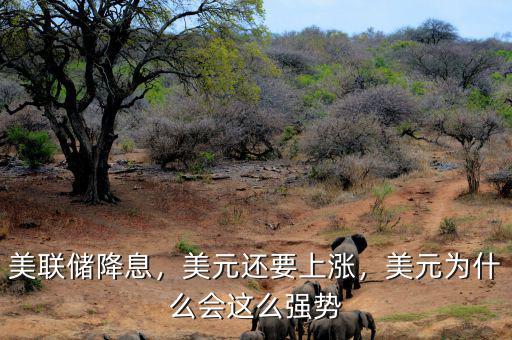 美聯(lián)儲降息，美元還要上漲，美元為什么會這么強勢