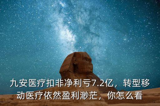九安醫(yī)療扣非凈利虧7.2億，轉(zhuǎn)型移動(dòng)醫(yī)療依然盈利渺茫，你怎么看