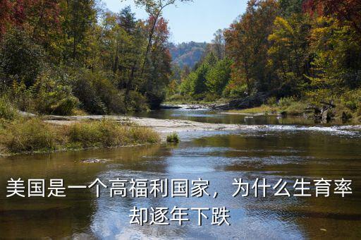 美國是一個(gè)高福利國家，為什么生育率卻逐年下跌