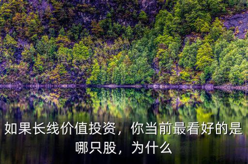 如果長(zhǎng)線價(jià)值投資，你當(dāng)前最看好的是哪只股，為什么