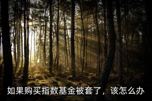 如果購買指數(shù)基金被套了，該怎么辦