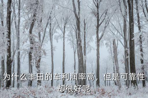 為什么豐田的車利潤率高，但是可靠性卻很好呢