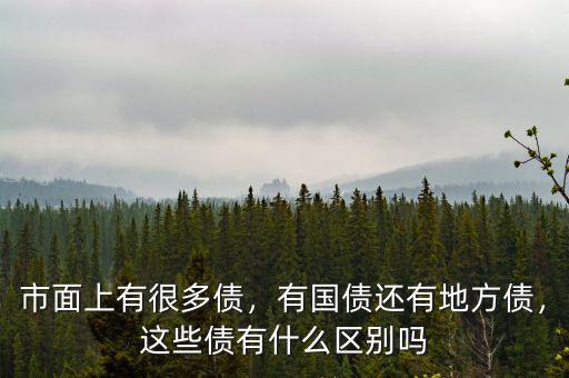 市面上有很多債，有國債還有地方債，這些債有什么區(qū)別嗎