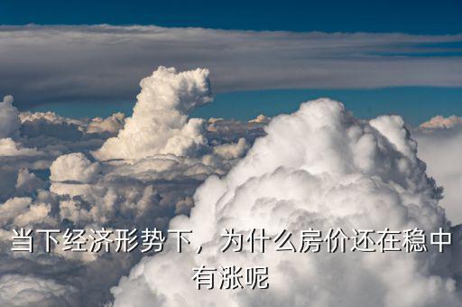 當(dāng)下經(jīng)濟形勢下，為什么房價還在穩(wěn)中有漲呢