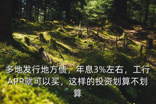 多地發(fā)行地方債，年息3%左右，工行APP就可以買，這樣的投資劃算不劃算