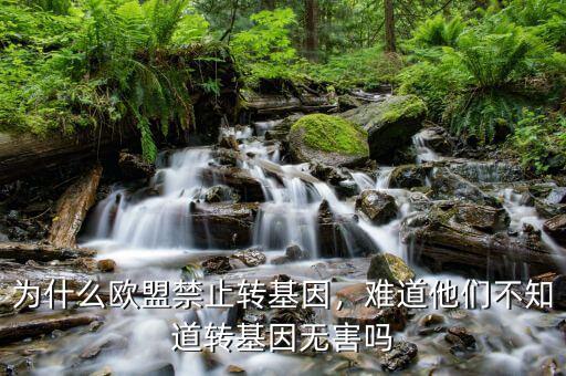 為什么歐盟禁止轉(zhuǎn)基因，難道他們不知道轉(zhuǎn)基因無(wú)害嗎