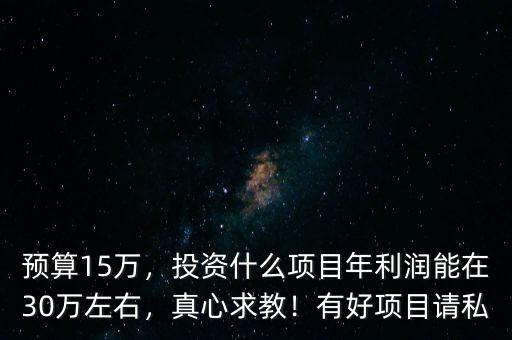 預(yù)算15萬(wàn)，投資什么項(xiàng)目年利潤(rùn)能在30萬(wàn)左右，真心求教！有好項(xiàng)目請(qǐng)私