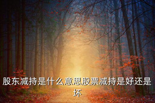股東減持沈陽機(jī)床意味著什么呢,股東減持是什么意思