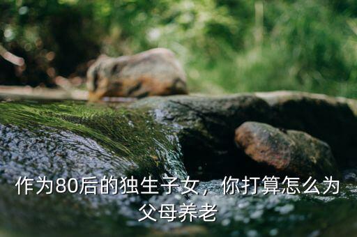 作為80后的獨(dú)生子女，你打算怎么為父母養(yǎng)老