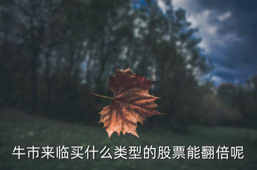 牛市來(lái)臨買(mǎi)什么類(lèi)型的股票能翻倍呢