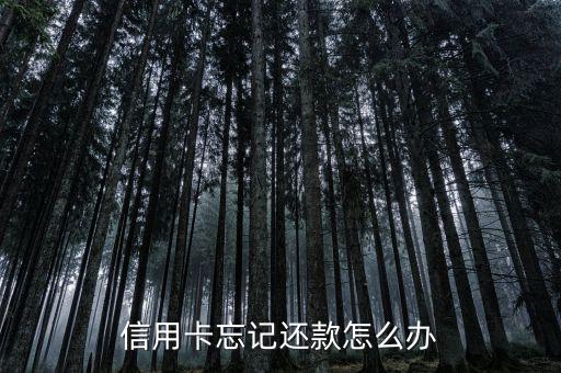 信用卡忘了還款怎么辦,信用卡到還款時間忘記還款