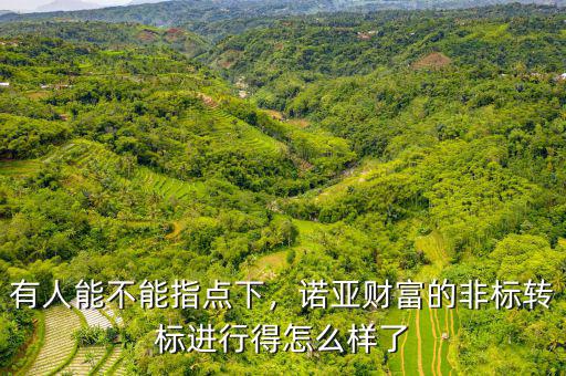 有人能不能指點(diǎn)下，諾亞財(cái)富的非標(biāo)轉(zhuǎn)標(biāo)進(jìn)行得怎么樣了