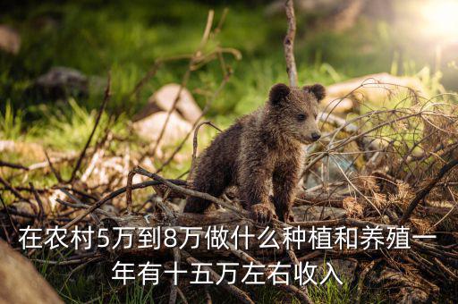 在農村5萬到8萬做什么種植和養(yǎng)殖一年有十五萬左右收入