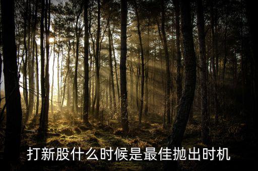 打新股什么時候是最佳拋出時機(jī)