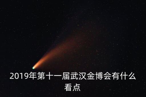 2019年第十一屆武漢金博會有什么看點(diǎn)