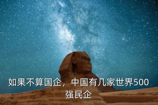 如果不算國企，中國有幾家世界500強(qiáng)民企