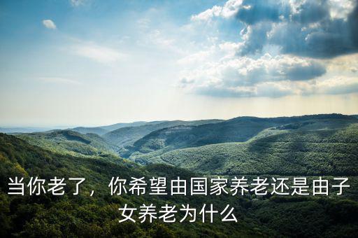 當(dāng)你老了，你希望由國(guó)家養(yǎng)老還是由子女養(yǎng)老為什么