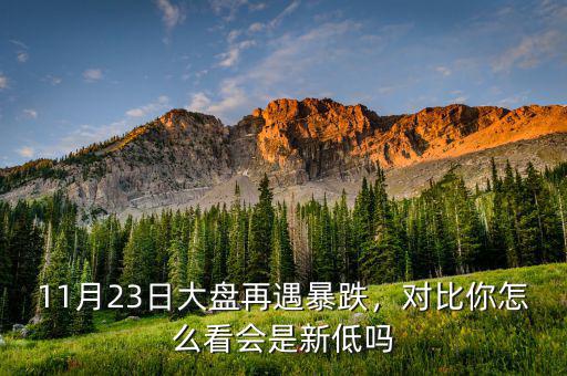 11月23日大盤(pán)再遇暴跌，對(duì)比你怎么看會(huì)是新低嗎