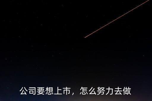公司要想上市，怎么努力去做