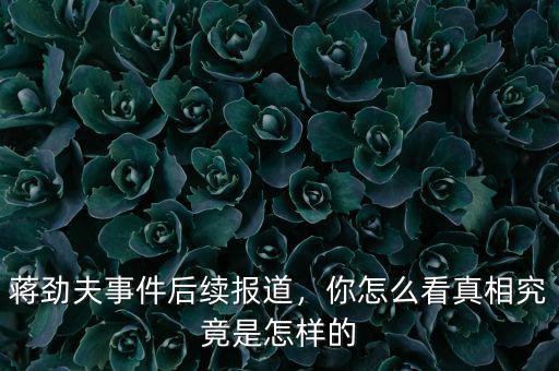 蔣勁夫事件后續(xù)報道，你怎么看真相究竟是怎樣的