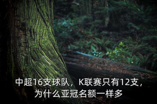 中超為什么只有16支球隊(duì),中超十六支球隊(duì)