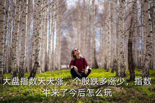 大盤指數(shù)天天漲，個(gè)股跌多漲少，指數(shù)牛來了今后怎么玩