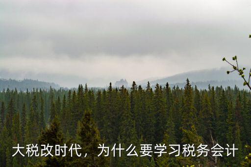 大稅改時代，為什么要學(xué)習(xí)稅務(wù)會計