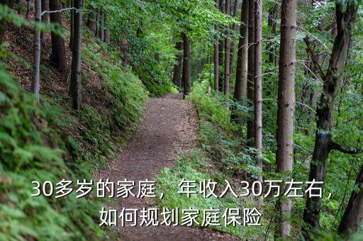30多歲的家庭，年收入30萬(wàn)左右，如何規(guī)劃家庭保險(xiǎn)