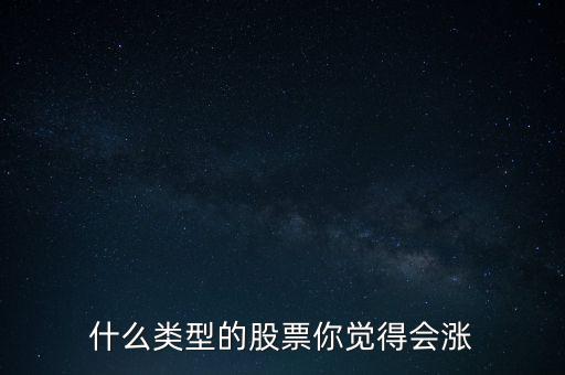 什么類型的股票你覺得會(huì)漲