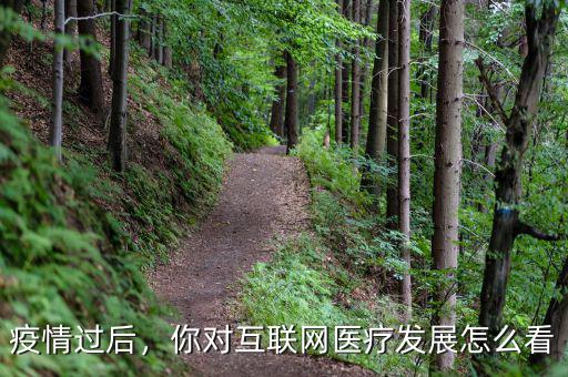 疫情過后，你對互聯(lián)網(wǎng)醫(yī)療發(fā)展怎么看