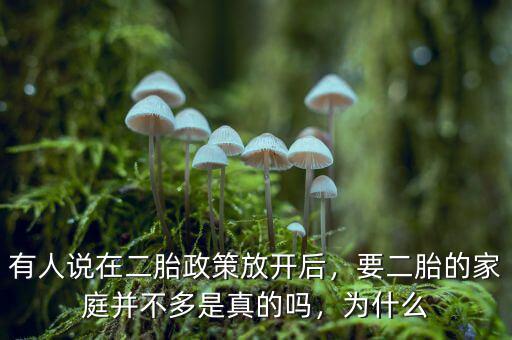 有人說在二胎政策放開后，要二胎的家庭并不多是真的嗎，為什么