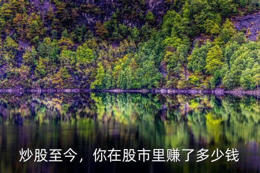 炒股至今，你在股市里賺了多少錢