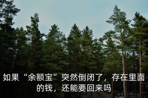 如果“余額寶”突然倒閉了，存在里面的錢，還能要回來嗎