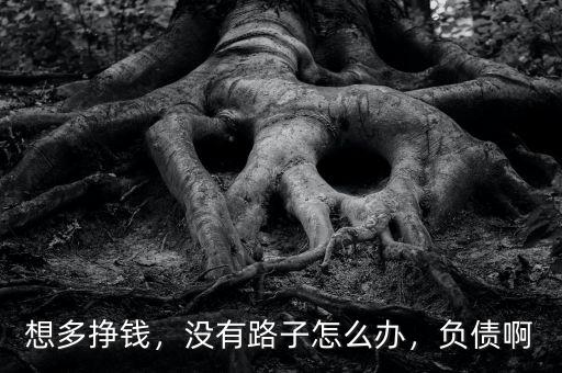 想多掙錢，沒有路子怎么辦，負債啊