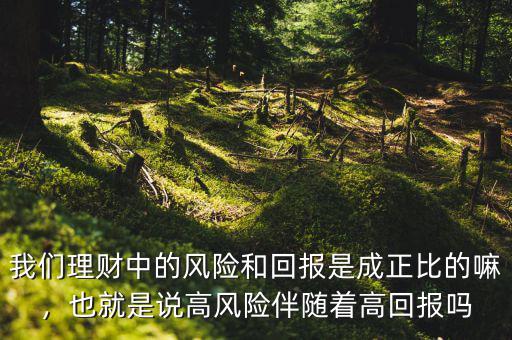 我們理財中的風(fēng)險和回報是成正比的嘛，也就是說高風(fēng)險伴隨著高回報嗎